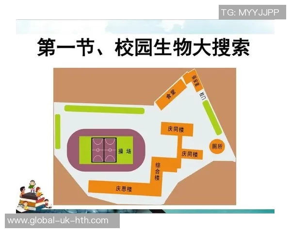 足球运动的多样性及其分类探讨与分析